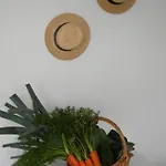Ferienhaus Serra Da Pescaria House - Nazaré